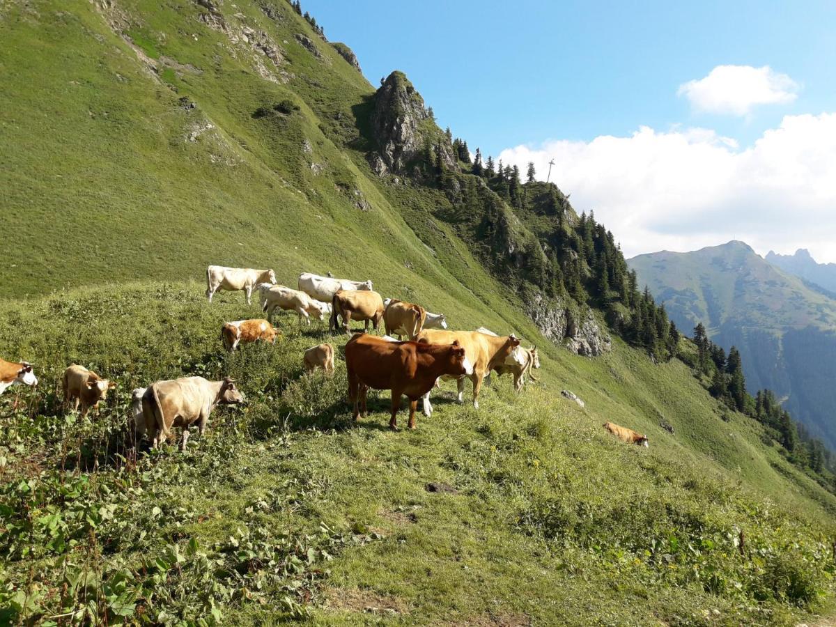 Auszeit Steiraland 3 Mit Ueberdachter Terasse Privatem Garten Und Gratis Parkplatz Leoben  Buitenkant foto