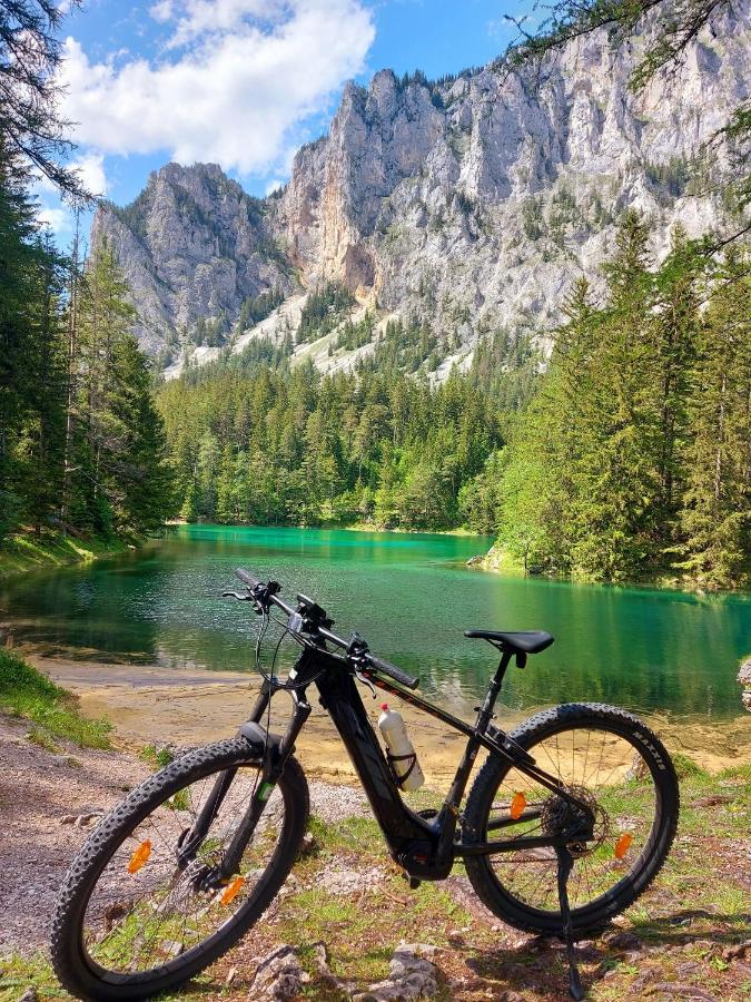 Auszeit Steiraland 3 Mit Ueberdachter Terasse Privatem Garten Und Gratis Parkplatz Leoben  Buitenkant foto